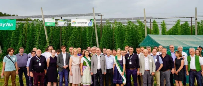 Fotovoltaica agrícola utilizada en Alemania para flores de cerveza